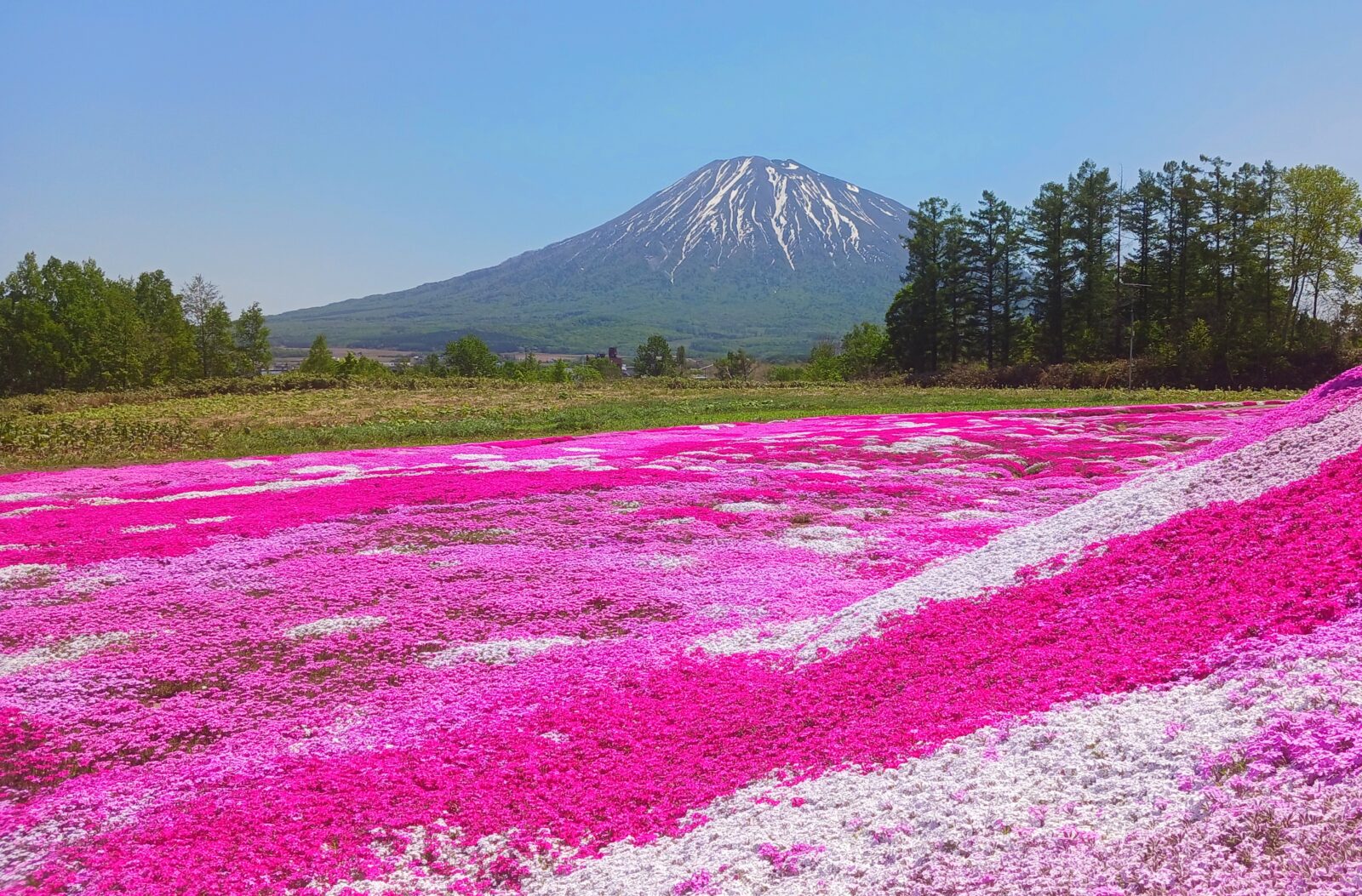 ad04fe351f852505c4d3a27e2c2f54